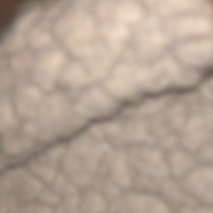 Meet your Posher, Darnell